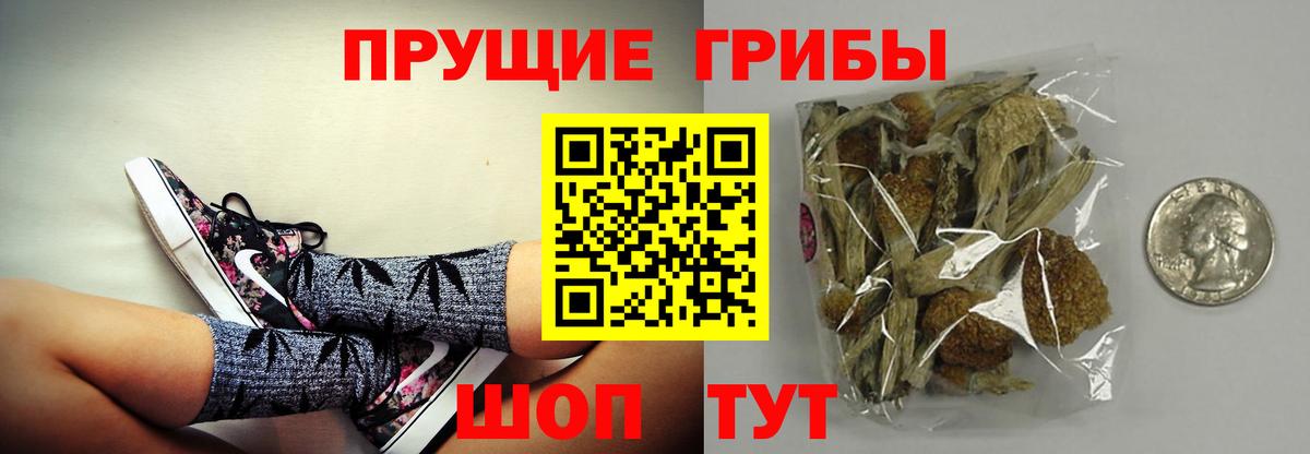 Рузаевка  Галлюциногенные грибы GOLDEN TEACHER  купить  цена  Вход с VPN 